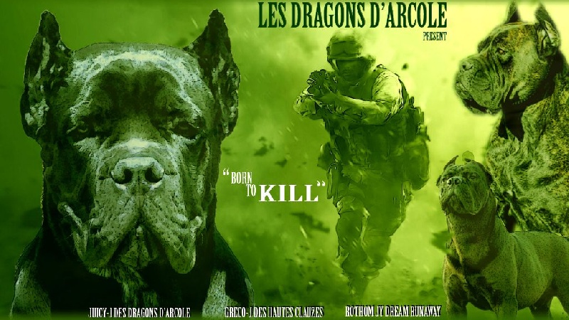 Juicy-j Des Dragons D'Arcole