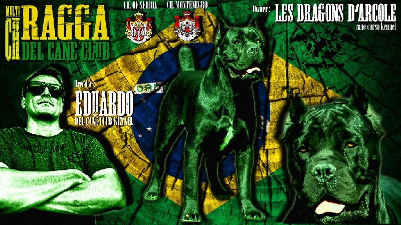 CH. Ragga del cane club