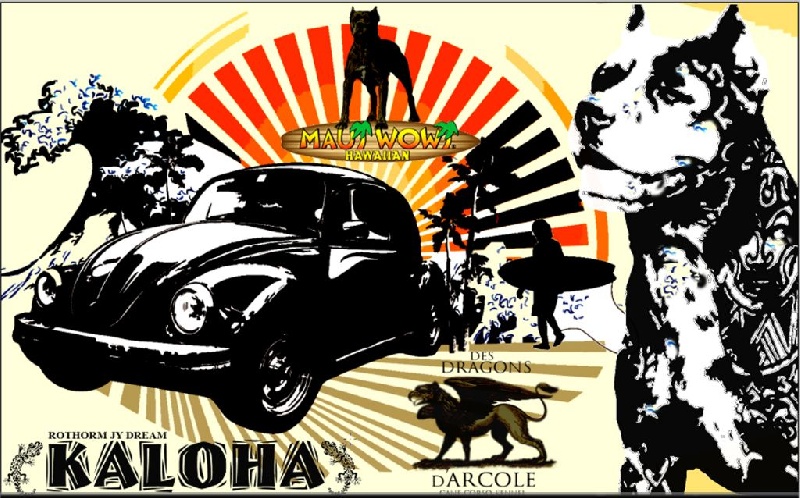 Rothorm Jy Dream Kaloha